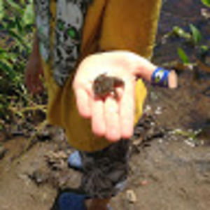 Meet your Posher, Joshua